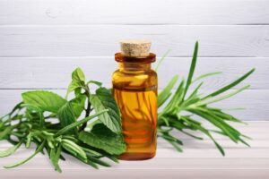 Tea Tree Oil untuk Jerawat? Rahasia Kulit Mulus Terungkap