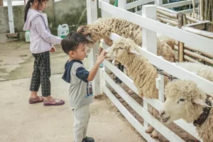 Batam: YELLO Hotel & Batam Zoo, Kolaborasi Pariwisata Menakjubkan