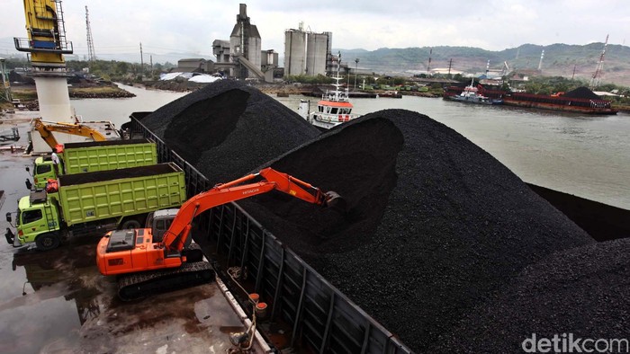 Harga Batu Bara Mei 2025: Update Acuan Terbaru