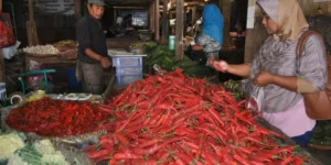 Harga Cabai Rawit Merah Melonjak Tajam, Tembus Rp69.850/kg