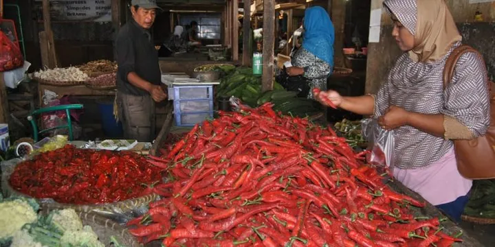 Harga Cabai Rawit Merah Melonjak Tajam, Tembus Rp69.850/kg