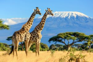 Bulan Madu Al Ghazali-Alyssa Daguise: Afrika, Surga Tersembunyi?