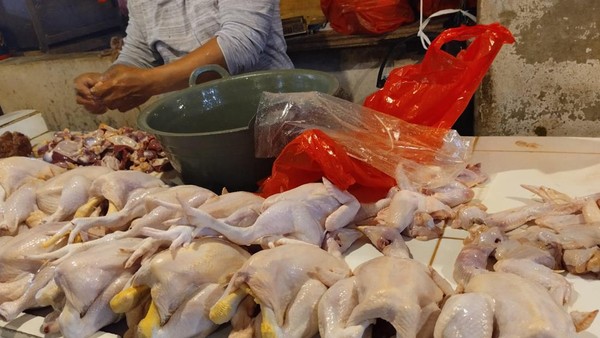 Harga Ayam & Telur Anjlok Drastis, Jauh di Bawah Acuan!