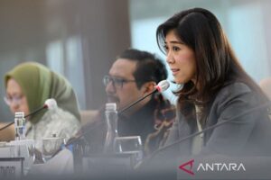 Internet Cepat 100 Mbps: Pemerintah Pastikan Akses Hingga Pelosok Negeri