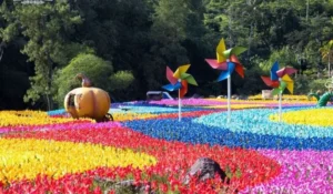 Kincir Angin Depok: Wisata Eropa Tanpa Perlu Paspor