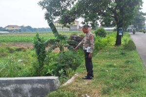 Misteri Jenazah Tertindih Becak di Parit: Warga Geger