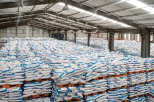 Petrokimia Gresik Pasok Gas Blok Ketapang: Jamin Produksi Pupuk Nasional